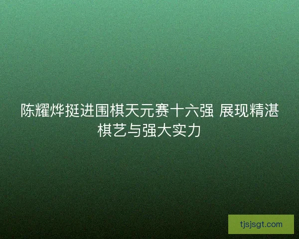 陈耀烨挺进围棋天元赛十六强 展现精湛棋艺与强大实力