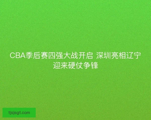 CBA季后赛四强大战开启 深圳亮相辽宁迎来硬仗争锋
